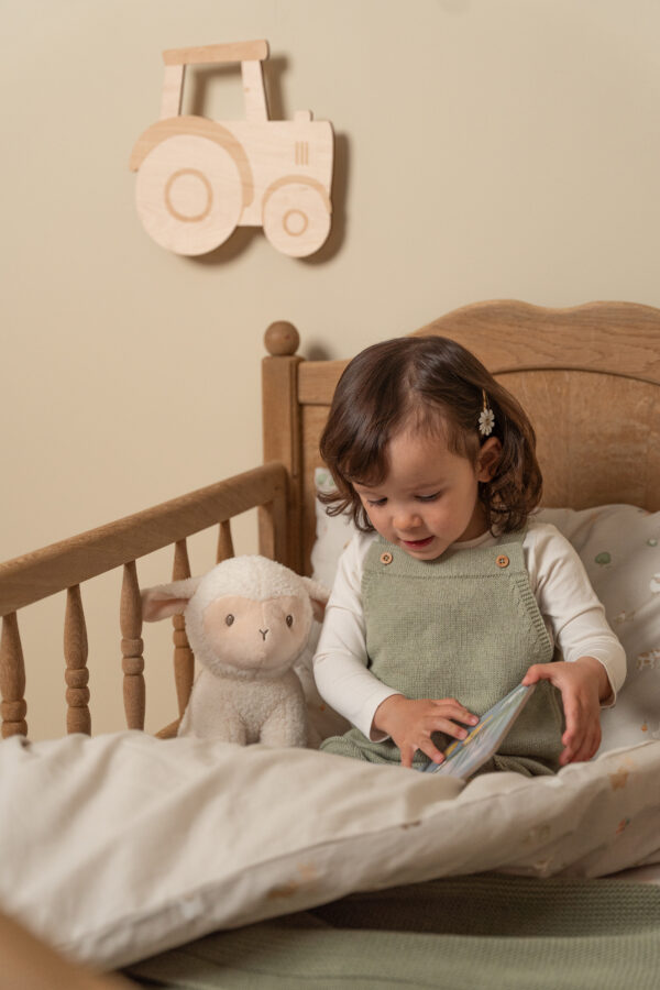 Cuddle Sheep 25cm Little Farm